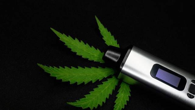 buy weed online in Riyadh